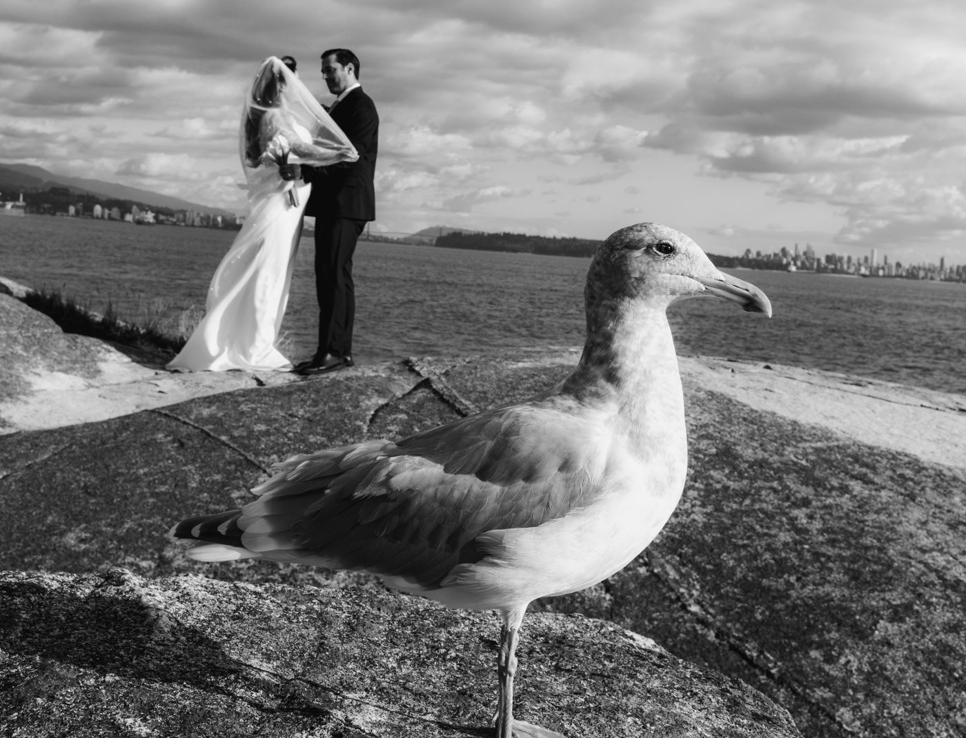 Barad Studio wedding photography, portfolio image 053